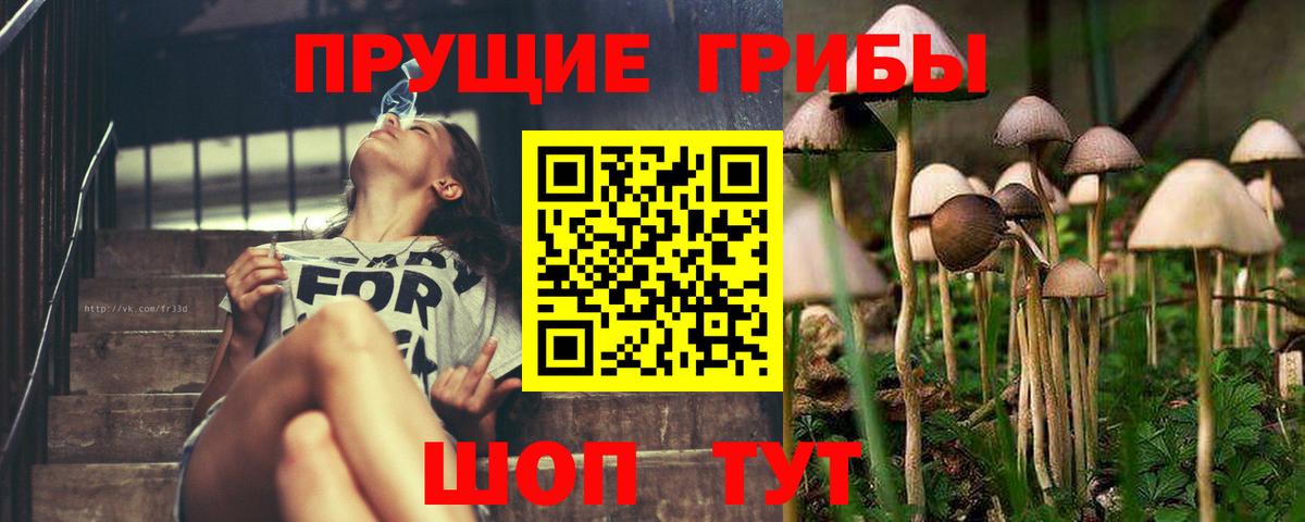 Галлюциногенные грибы прущие грибы Армавир
